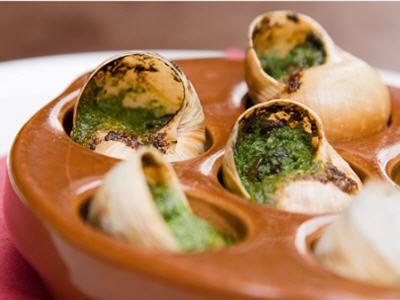 Escargot - Burgundy Snails
