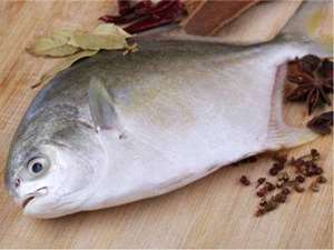Picture of Whole Pompano Fish