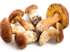 Picture of Frozen French Ceps (Porcini Mushrooms)