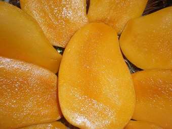 Picture of Frozen Mango Halves