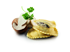 Picture of Tortelli Funghi Porcini