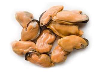 Picture of Mussels (Shell-Off)