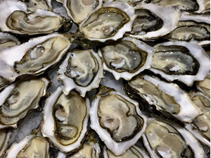 Picture of Fresh French Oysters