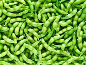 Picture of Frozen Edamame