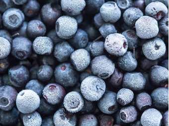 Picture of Frozen Blueberries