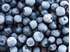 Picture of Frozen Blueberries