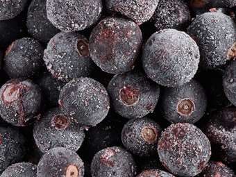 Picture of Frozen Blackcurrants