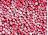 Picture of Frozen Cranberries