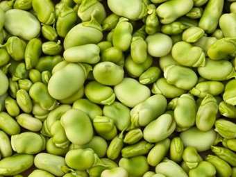 Picture of Frozen Broad Beans