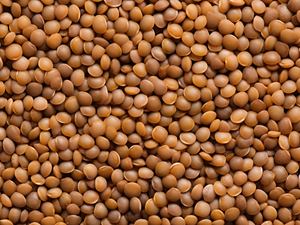 Picture of Canned Cooked Lentils