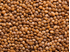 Picture of Canned Cooked Lentils