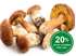 Picture of Frozen French Ceps (Porcini Mushrooms)