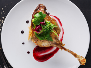 Picture of Duck Leg